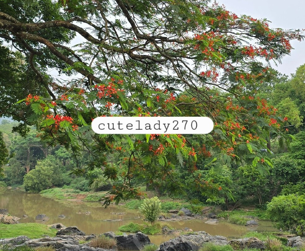Moyar River-Mudumalai必去景点