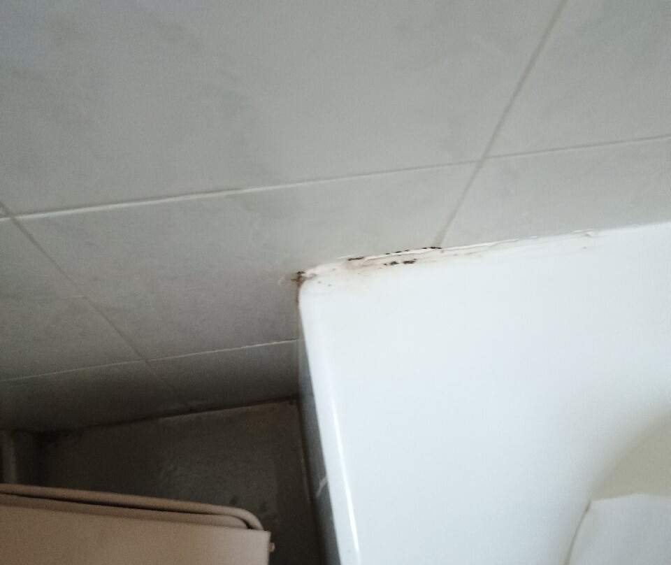 玛丽拉酒店式公寓主图