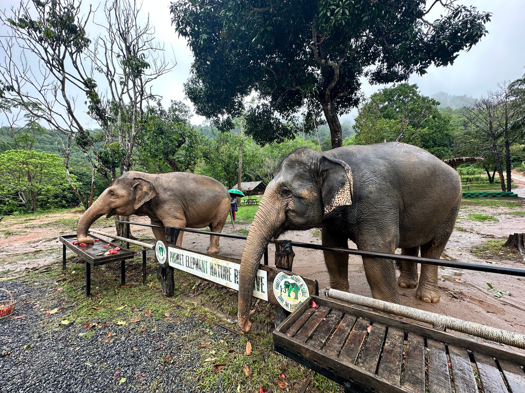 Phuket Elephant Nature Reserve-他朗必去景点