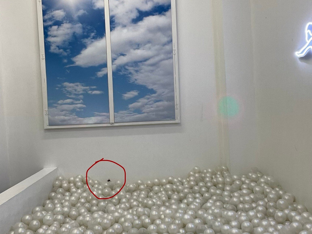 Selfie Museum Thessaloniki-塞萨洛尼基必去景点
