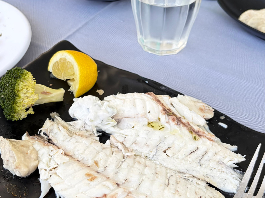 Renieris Santorini Sailing Center-圣托里尼必去景点