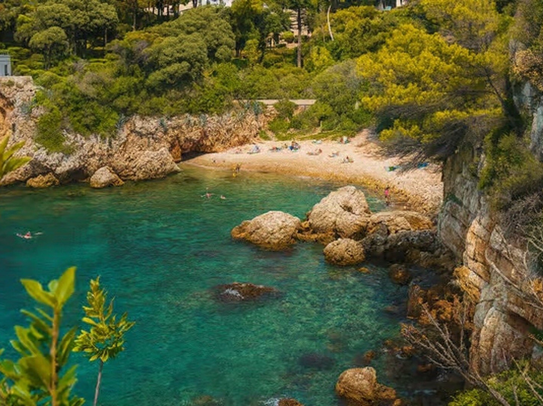1.	AzurKay:  Aventures en kayak guidées sur les plus beaux spots de la Côte d’Azur