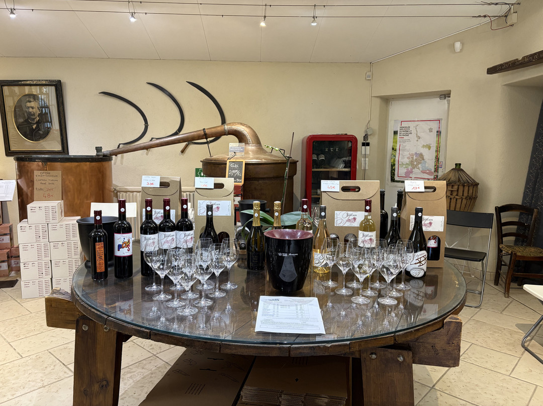 Musee des Arts et des Metiers du vin (Chateau Turcan)-Ansouis必去景点
