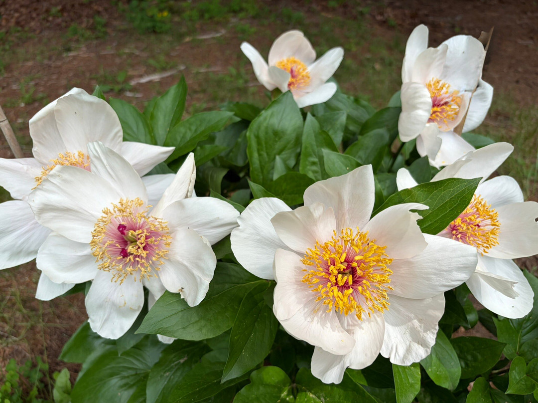 Maudslay State Park-纽伯里波特必去景点