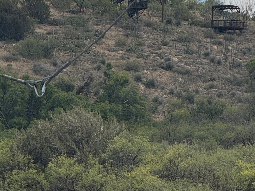 Arizona Zipline Adventures-Oracle必去景点