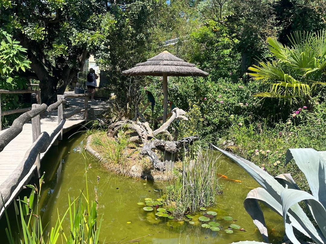Zoa Parc Animalier et Botanique-滨海萨纳里必去景点