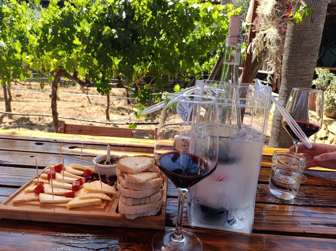 Lechuza Vineyard-Valle de Guadalupe必去景点