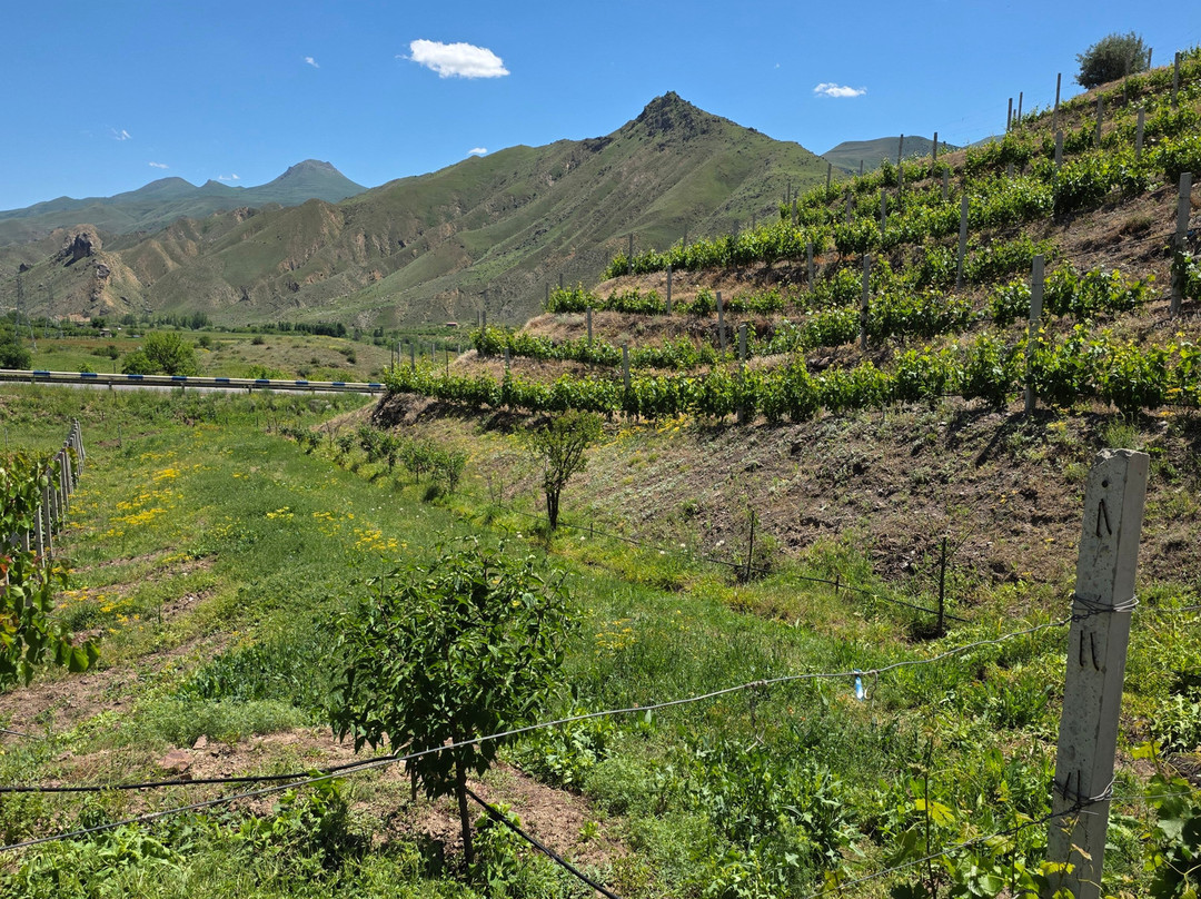 Old Bridge Winery-Yeghegnadzor必去景点