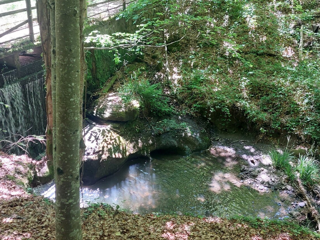 Parco Vivo Toscana-Vivo d'Orcia必去景点