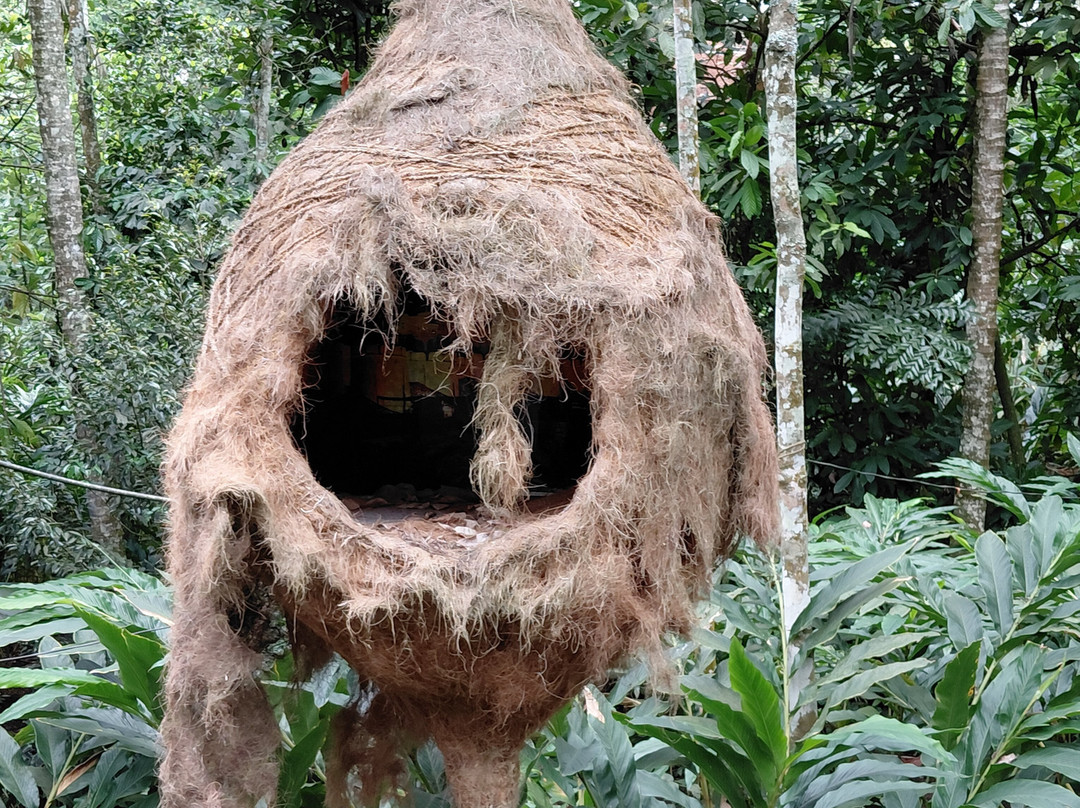 Kerala Holidays-柯钦必去景点