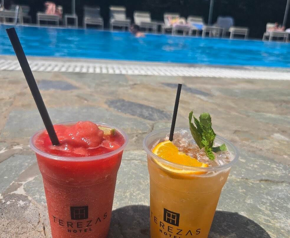 特丽莎酒店主图
