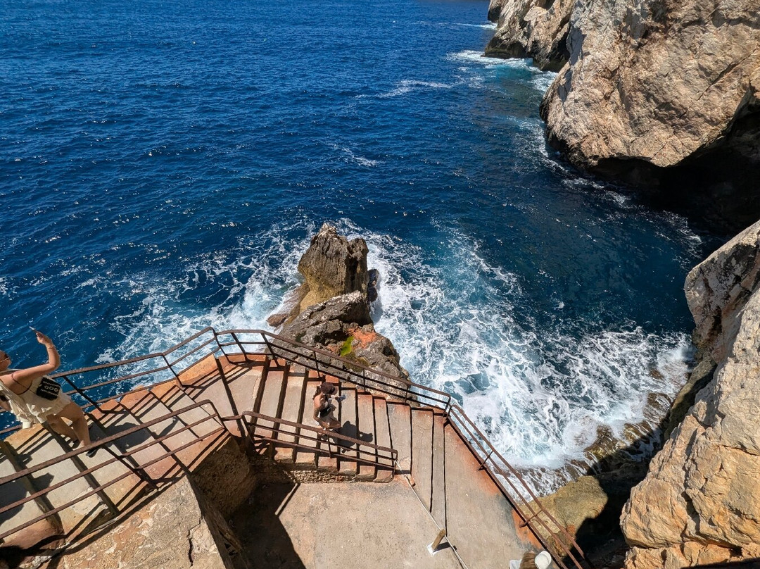 Frecce delle Grotte S.R.L-阿尔盖罗必去景点
