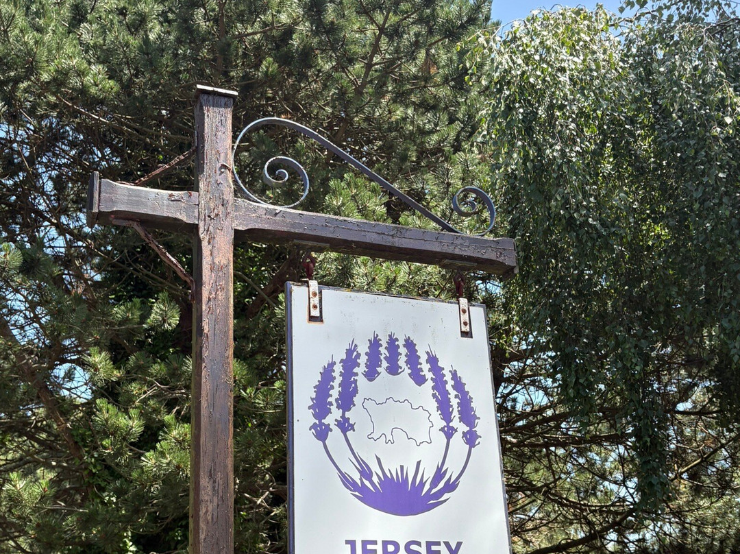Jersey Lavender Farm-圣布雷拉德必去景点