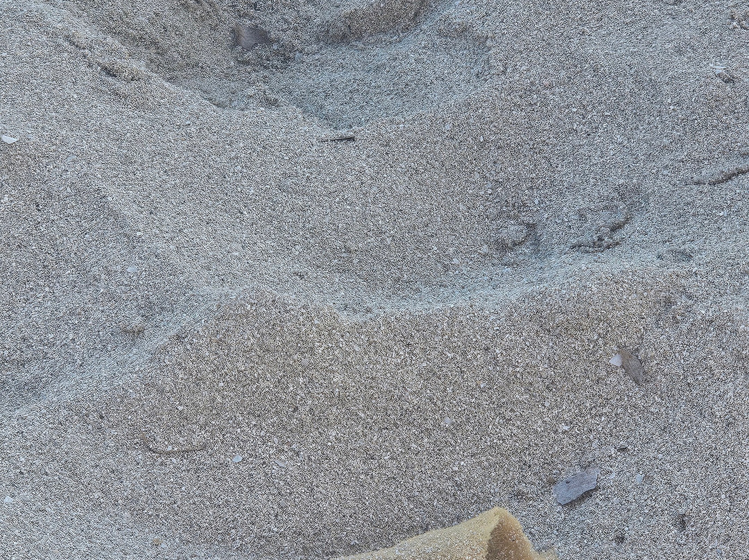 Stabilimento Balneare Al Sabbione-圣维托角必去景点
