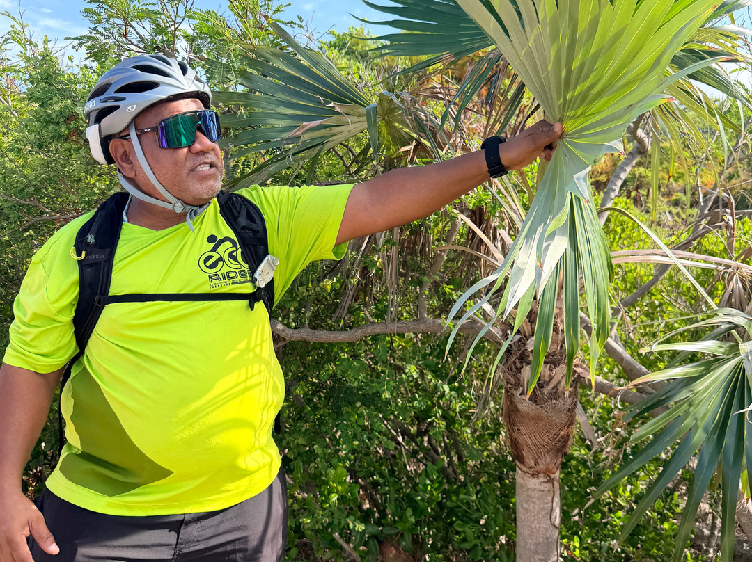 ECO Rides Cayman-East End必去景点