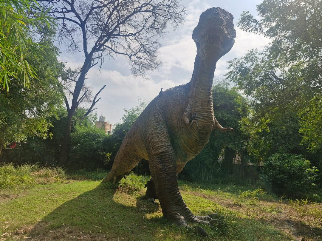 Indroda Nature Park-甘地纳加尔必去景点