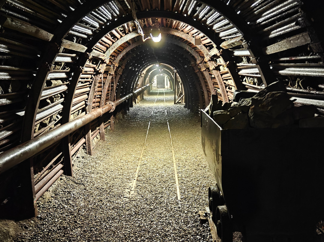 Blegny-Mine-Blegny必去景点