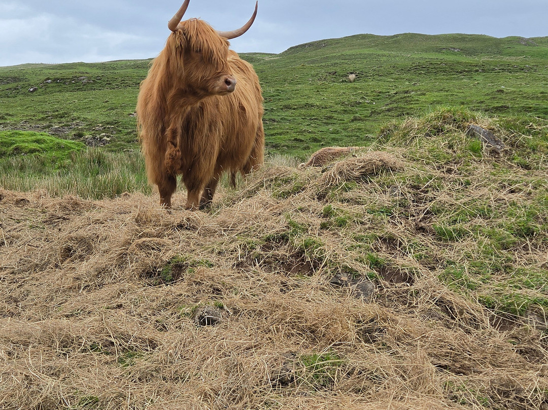 Tasting Scotland-格拉斯哥必去景点