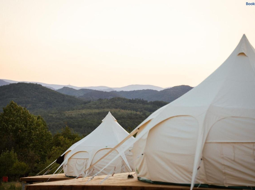 Glamping Stolat