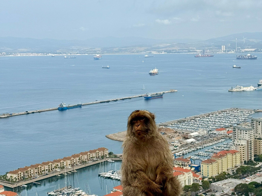 Gibraltar Upper Rock Nature Reserve-直布罗陀必去景点