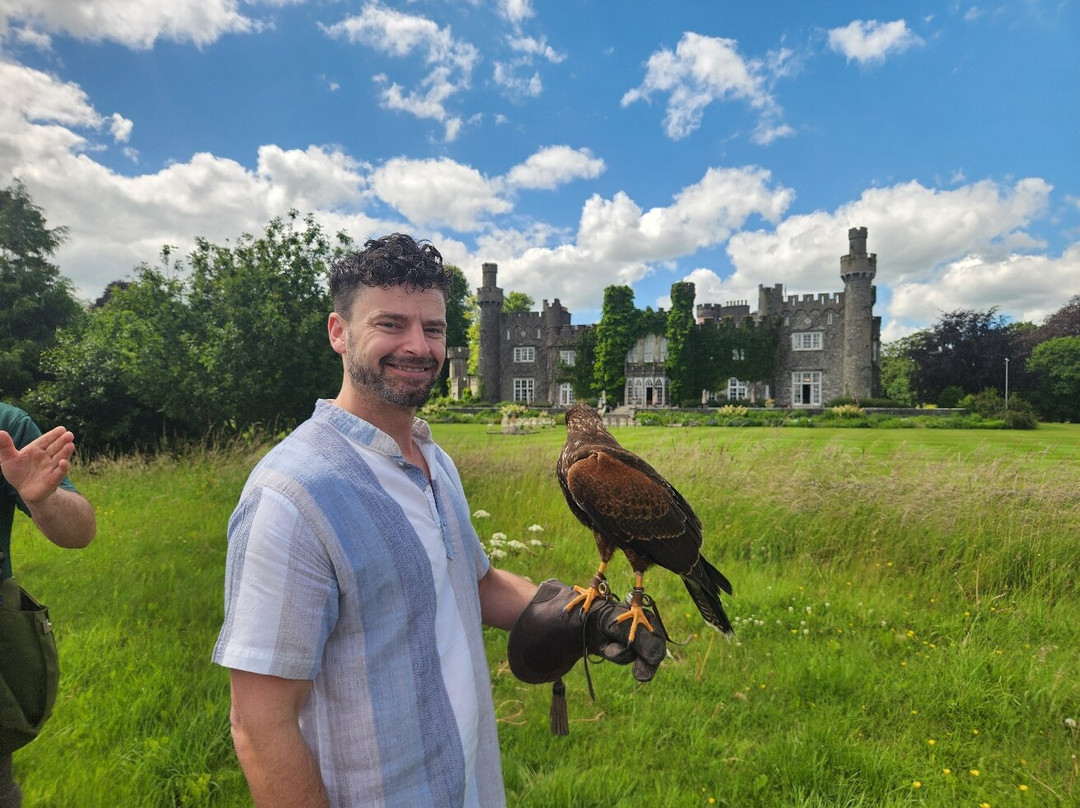 Dublin Falconry-Castleknock必去景点