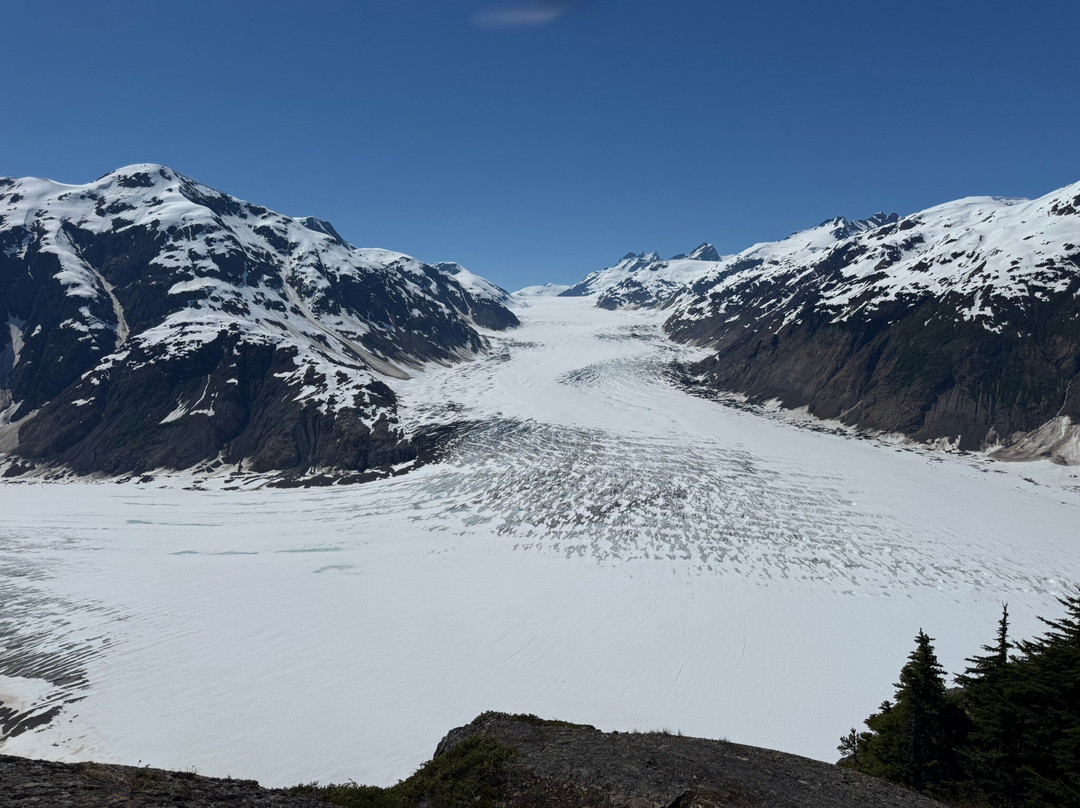Whitecap to Icecap Adventures-Stewart必去景点