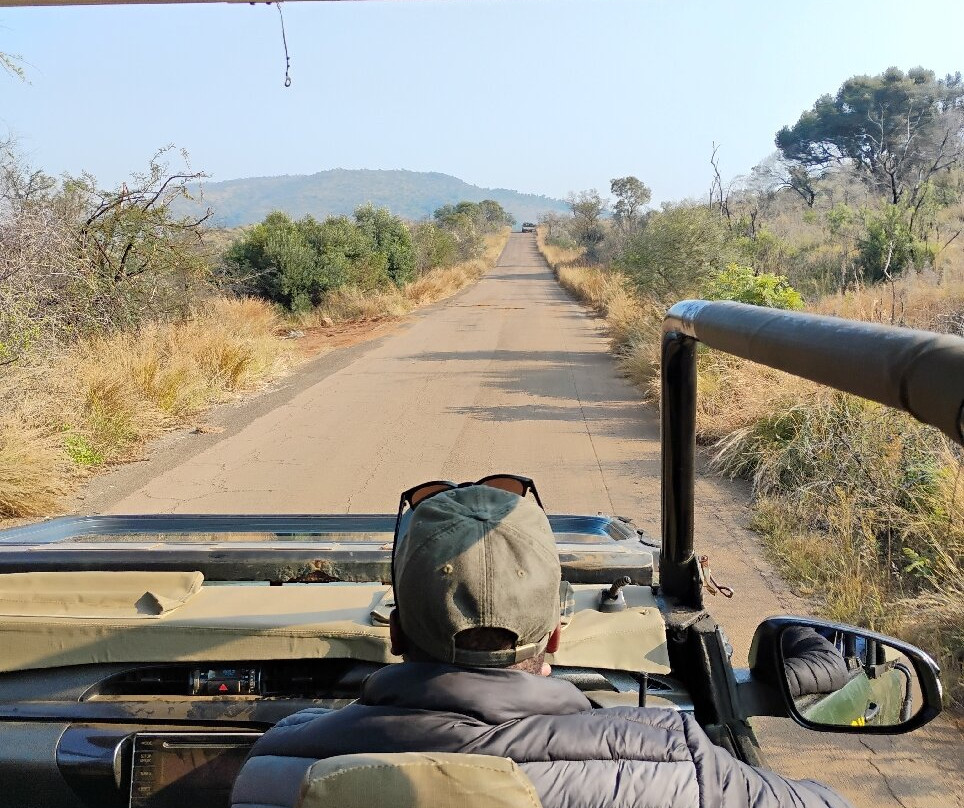 Pilanesberg National Park-太阳城必去景点