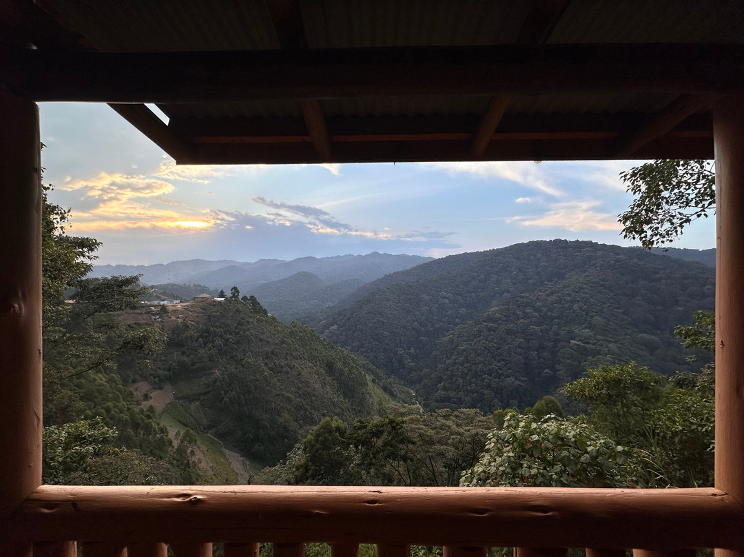 Go Gorilla Trekking-吉佳利必去景点
