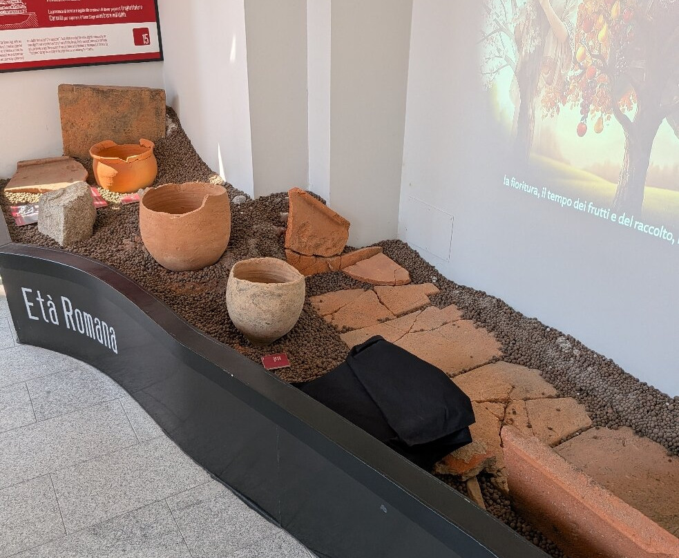 Archeo Museo-阿罗纳必去景点