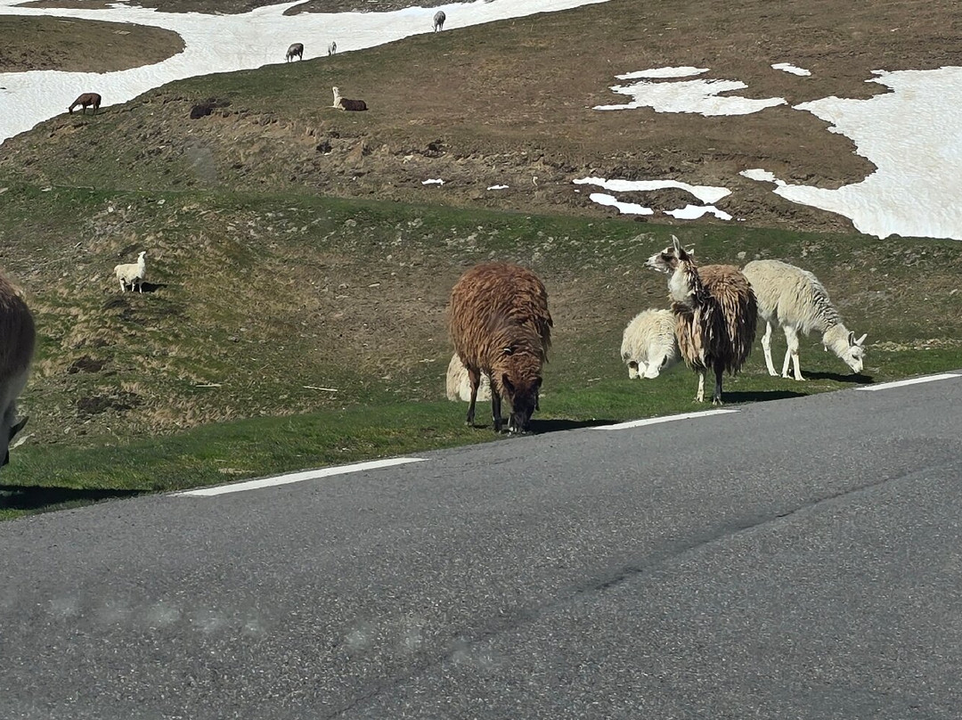Col de Tourmalet-La Mongie必去景点