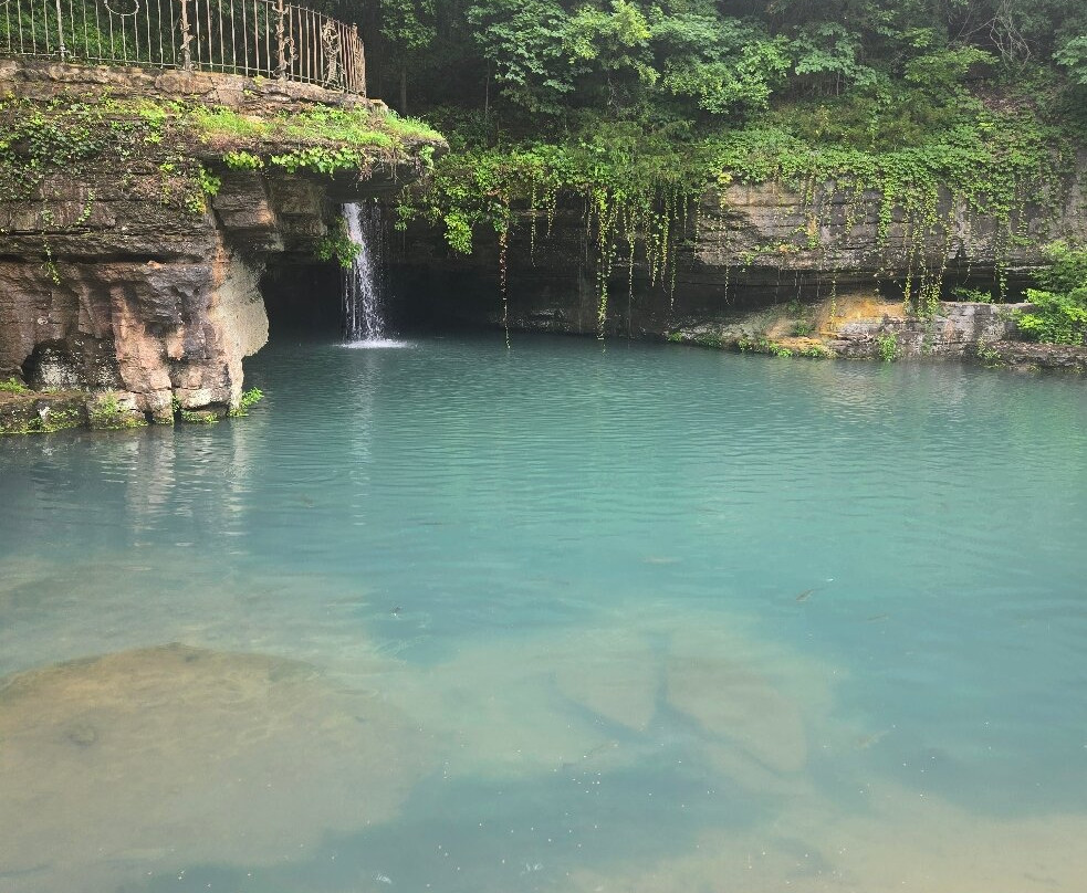 Dogwood Canyon Nature Park-Lampe必去景点