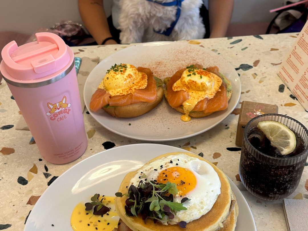 Corgi Cafe
