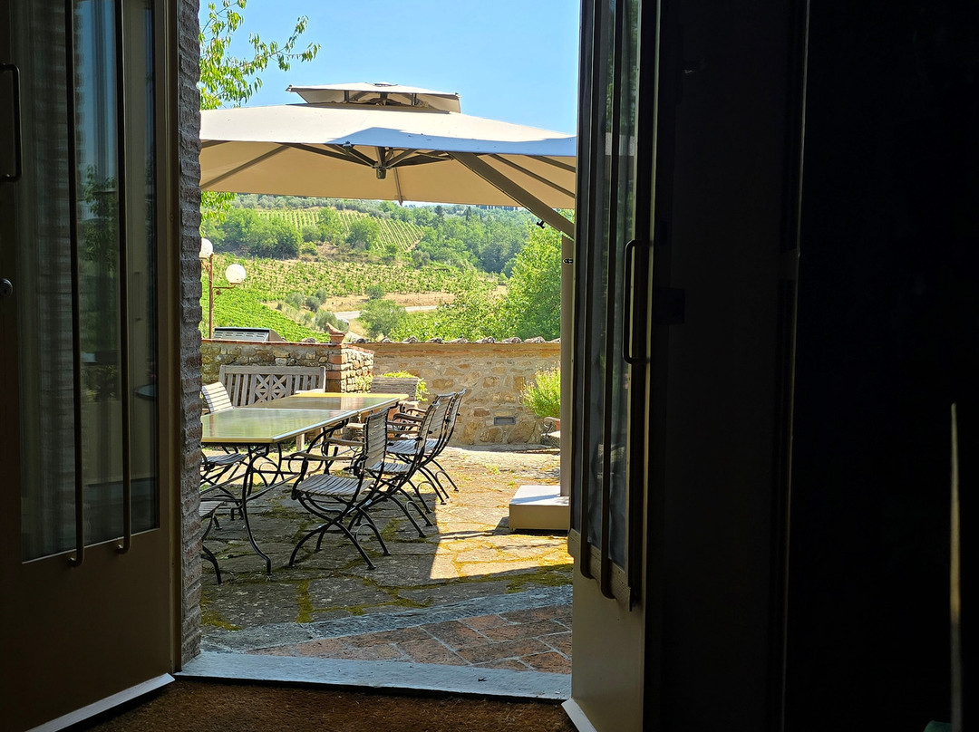 Monte Bernardi-Panzano in Chianti必去景点