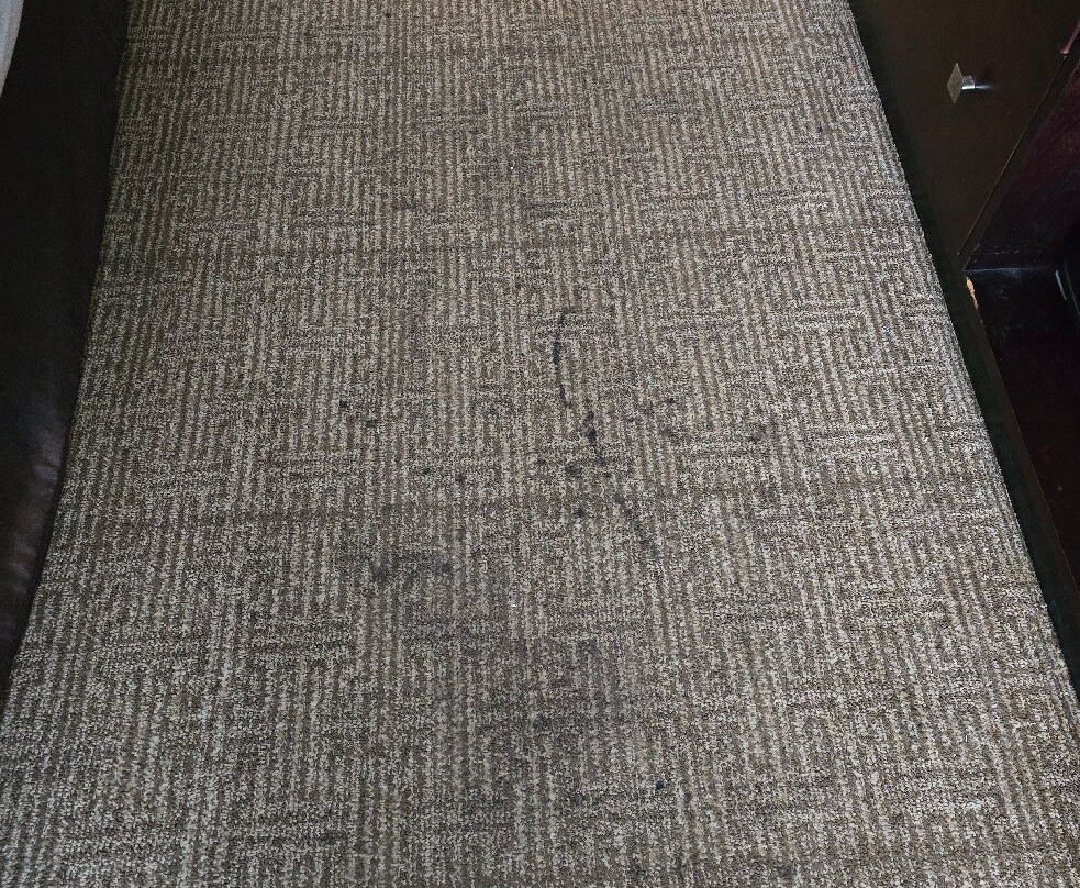 舒适酒店主图
