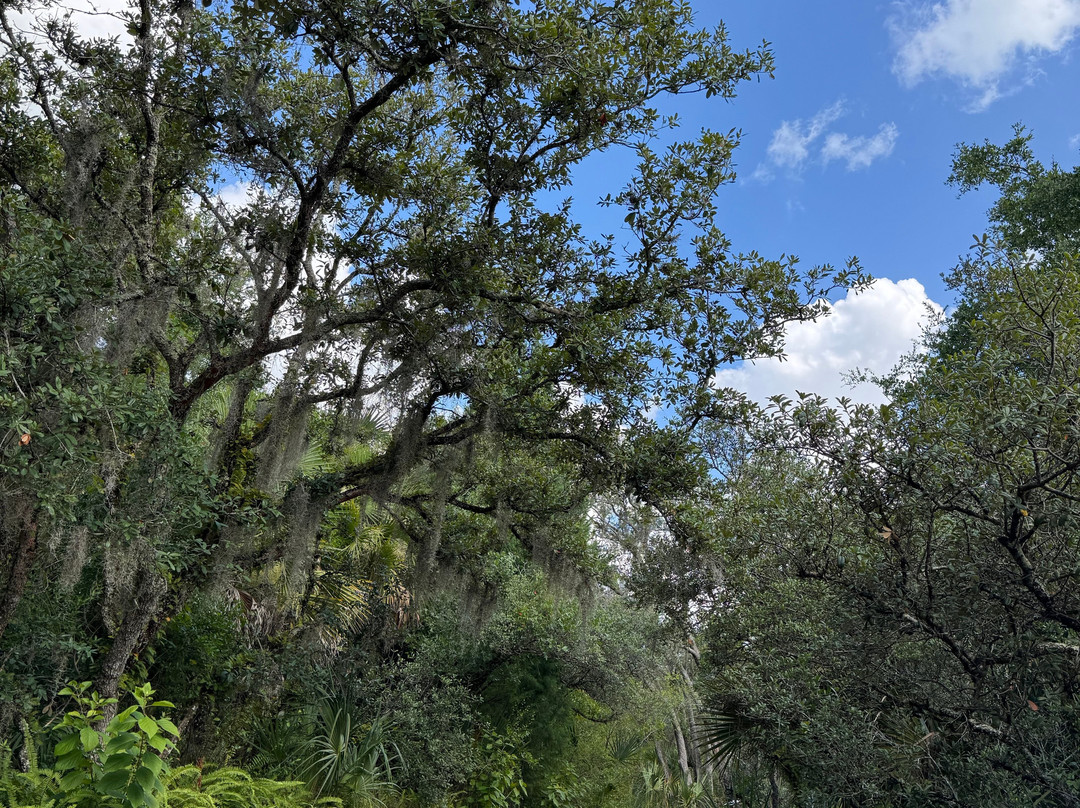 Bok Tower Gardens-莱克威尔士必去景点