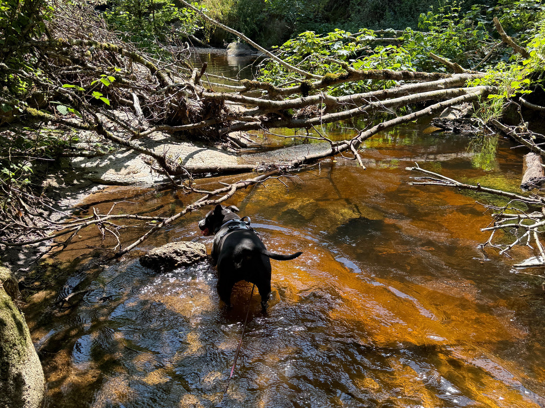 Cascades des jarrauds-Saint-Pardoux-Morterolles必去景点