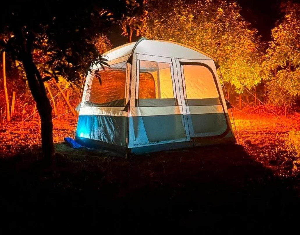 Wildtentadventure