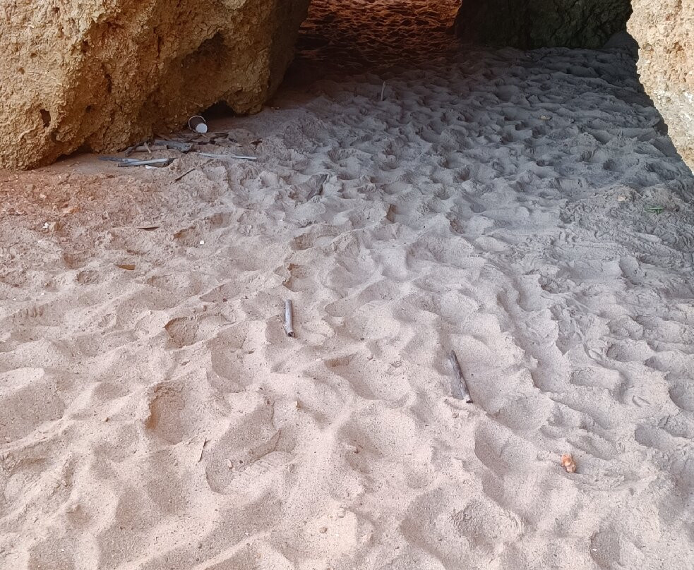 Praia dos Três Irmãos-阿沃必去景点