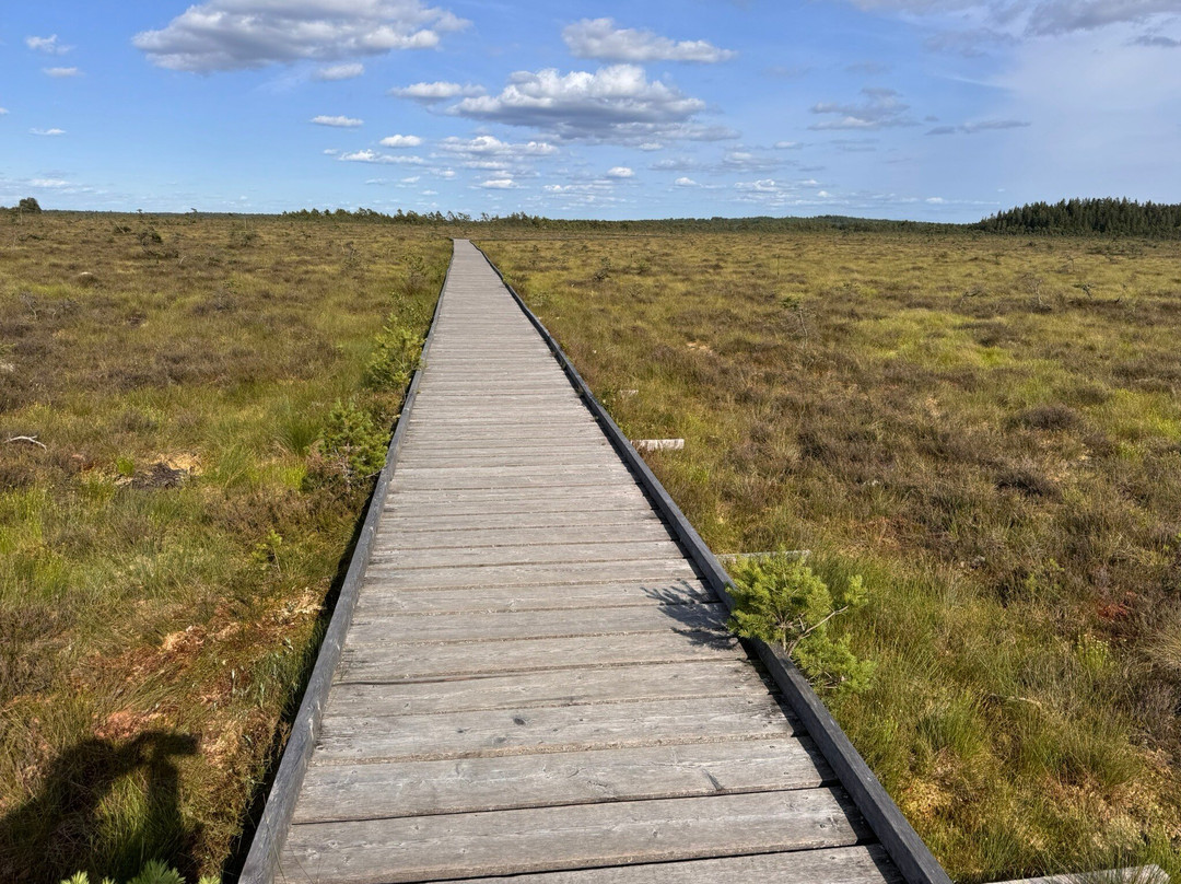 Store Mosse Nationalpark-Hillerstorp必去景点