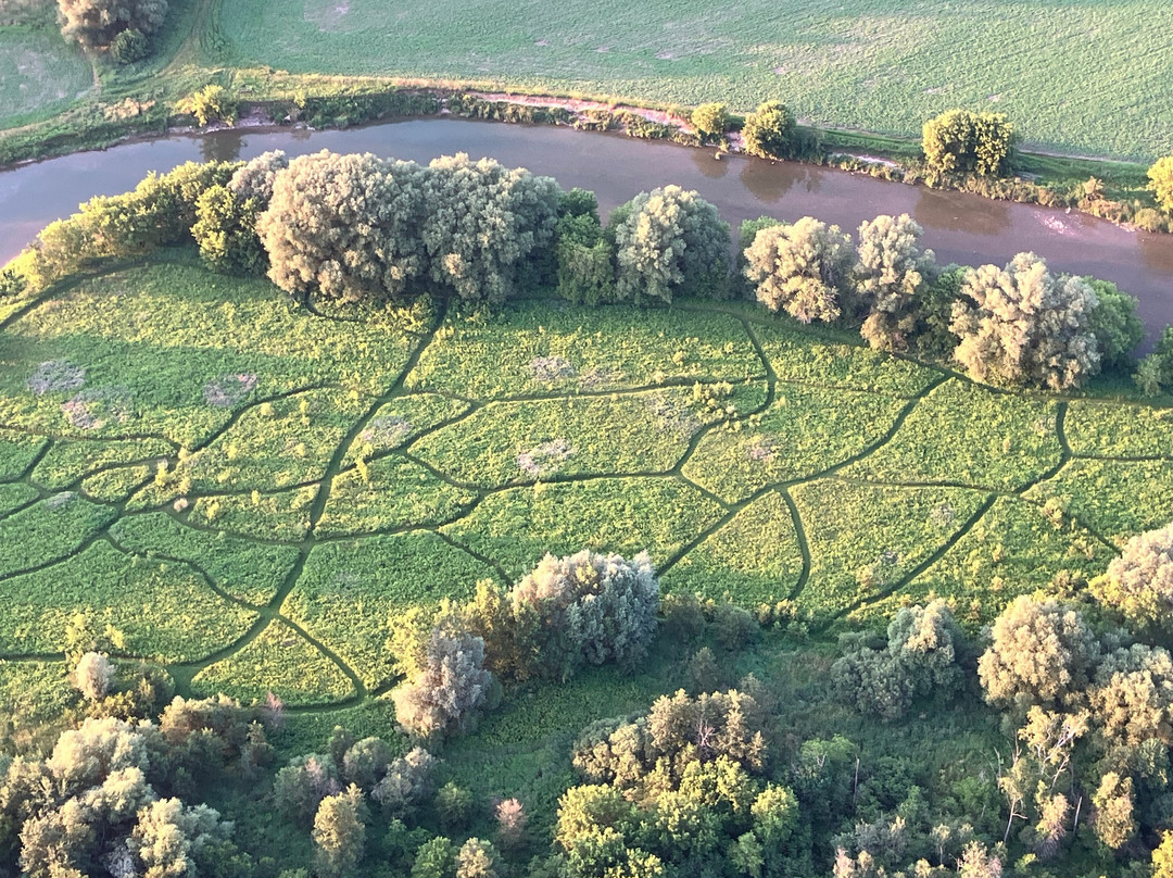 Ontario Hot Air Balloon Rides-基奇纳必去景点