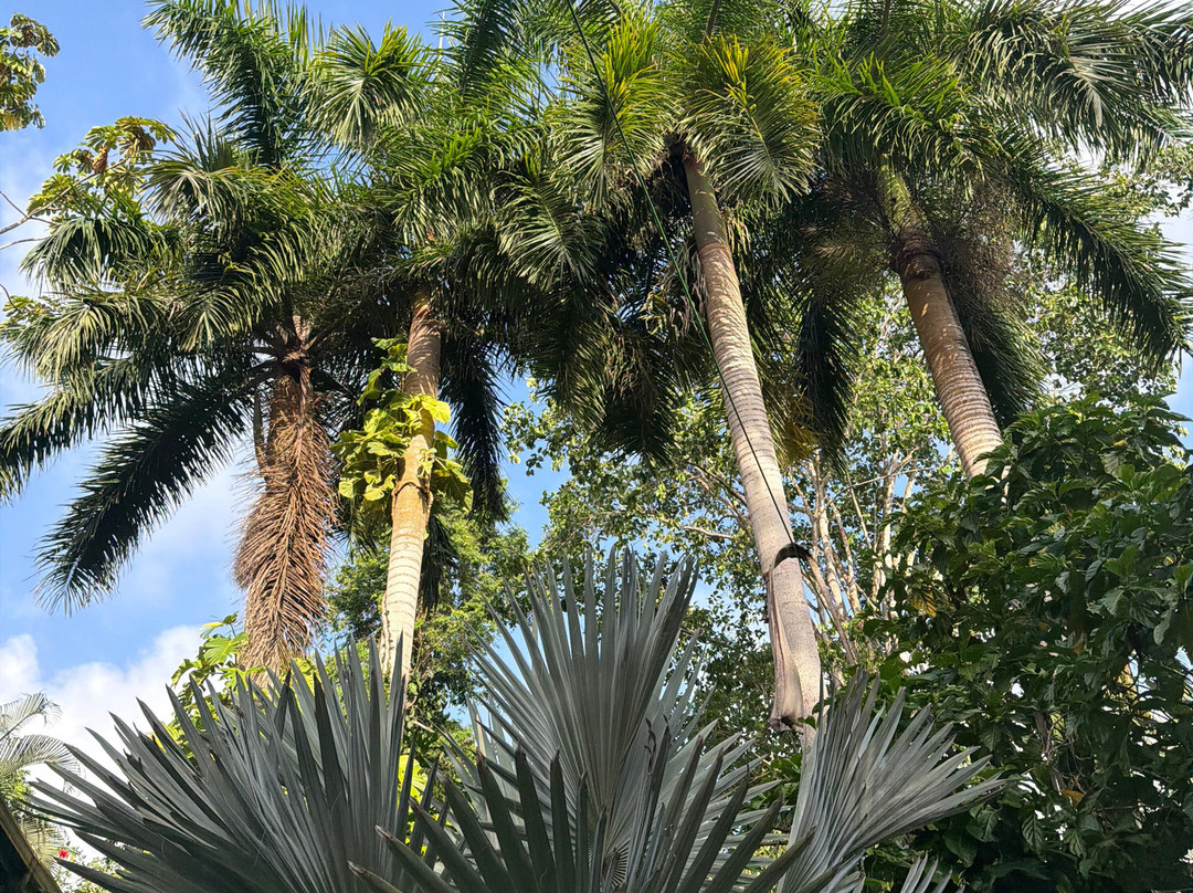 Caribe Town Bungalows加勒比小镇平房主图
