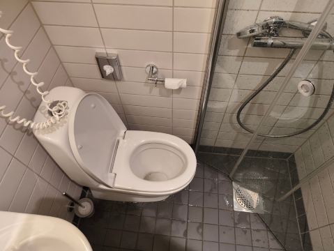 特隆赫姆通酒店-旅行者