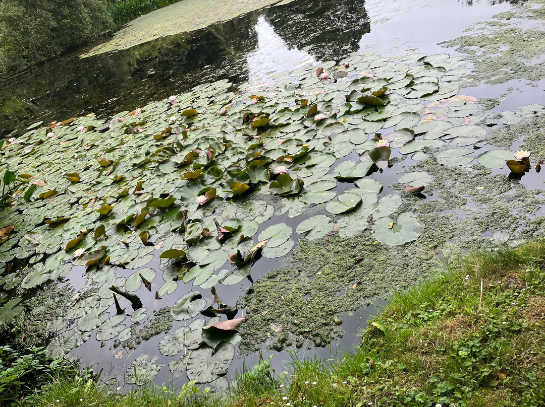 Bonython Estate Gardens-赫尔斯顿必去景点