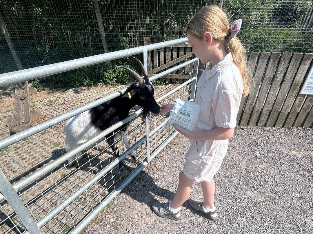 The Lake District Wildlife Park-Bassenthwaite必去景点