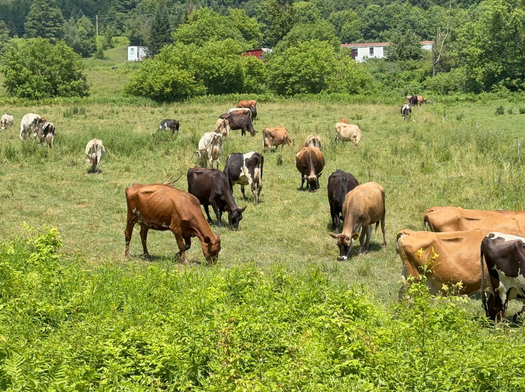Lamoille Valley Bike Tours-Johnson必去景点