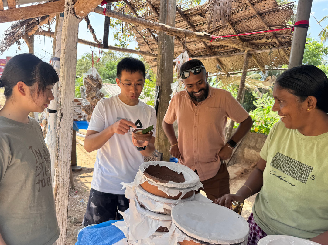 Ceyva Tours Sri Lanka-科伦坡必去景点