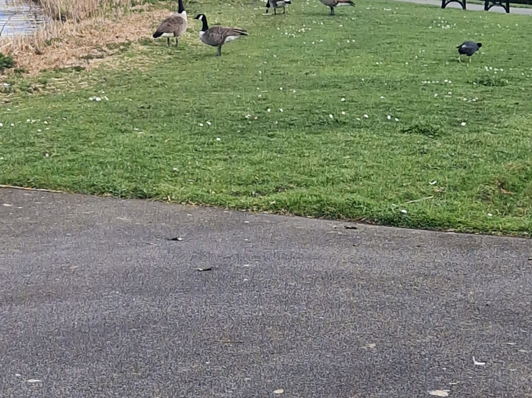 Sandwell Valley Country Park-西布罗姆维奇必去景点