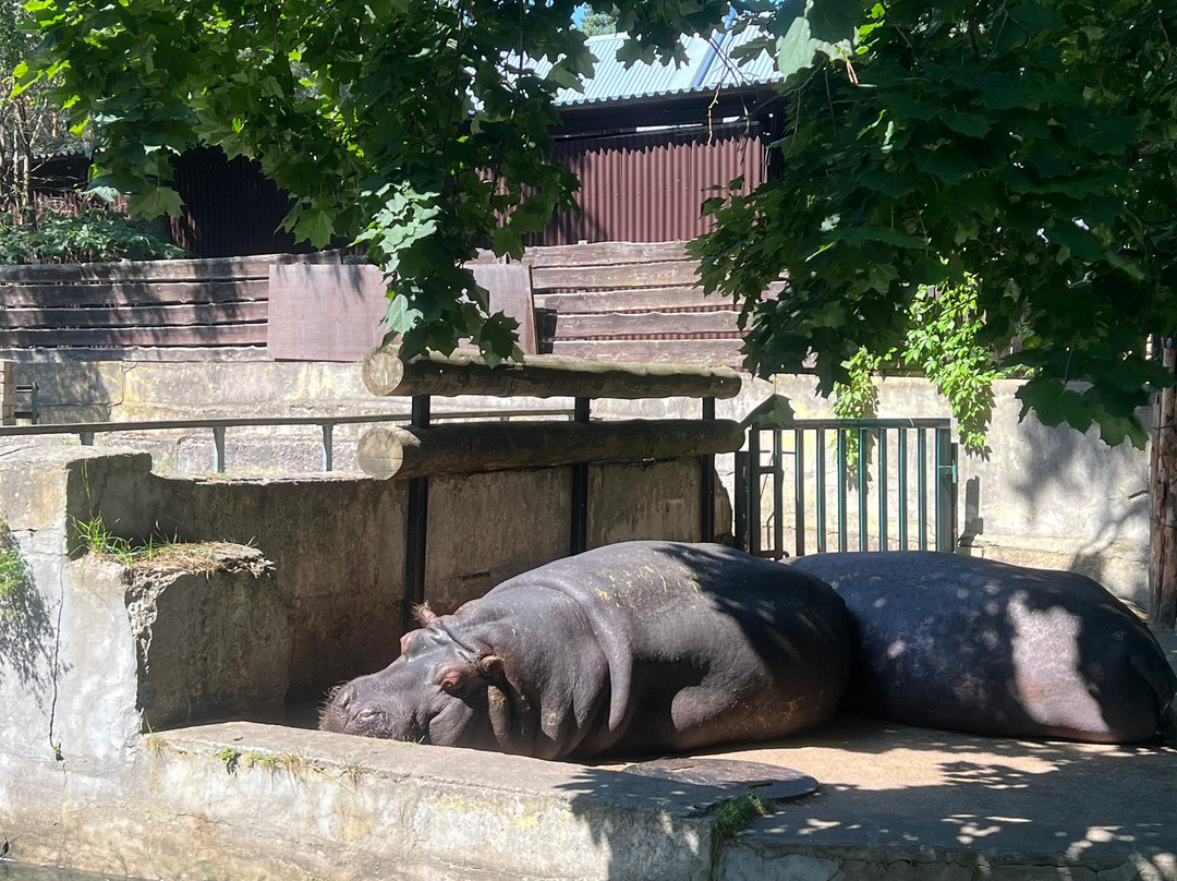 Riga Zoo-里加必去景点