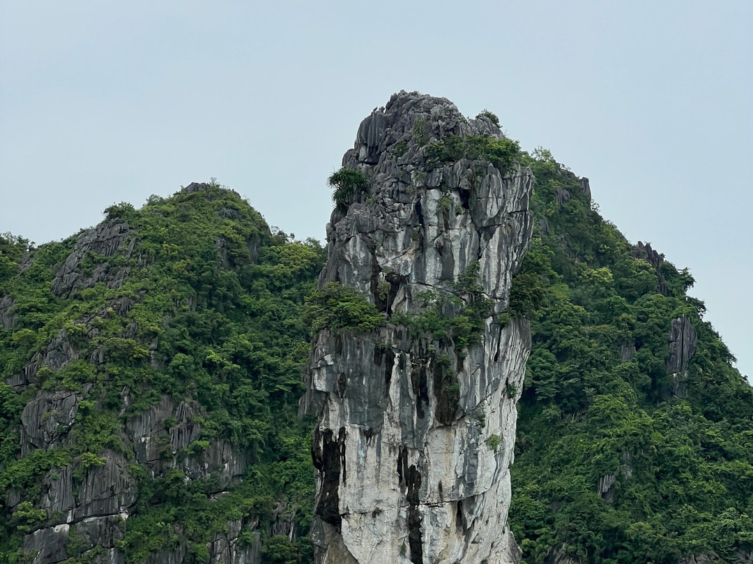 Cat Ba Smile Tours-卡巴必去景点
