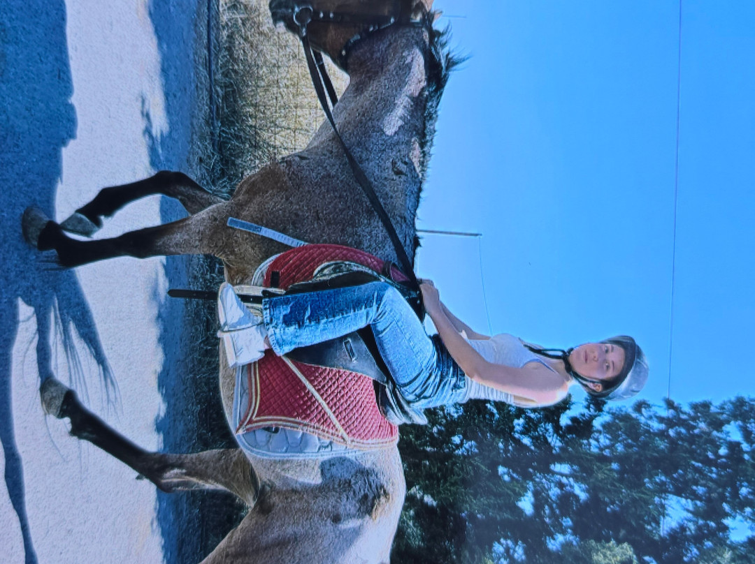 Finikia Horseriding-Finikia必去景点